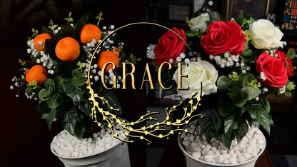 Grace The Magical Plant (Pre-order) by ms magic