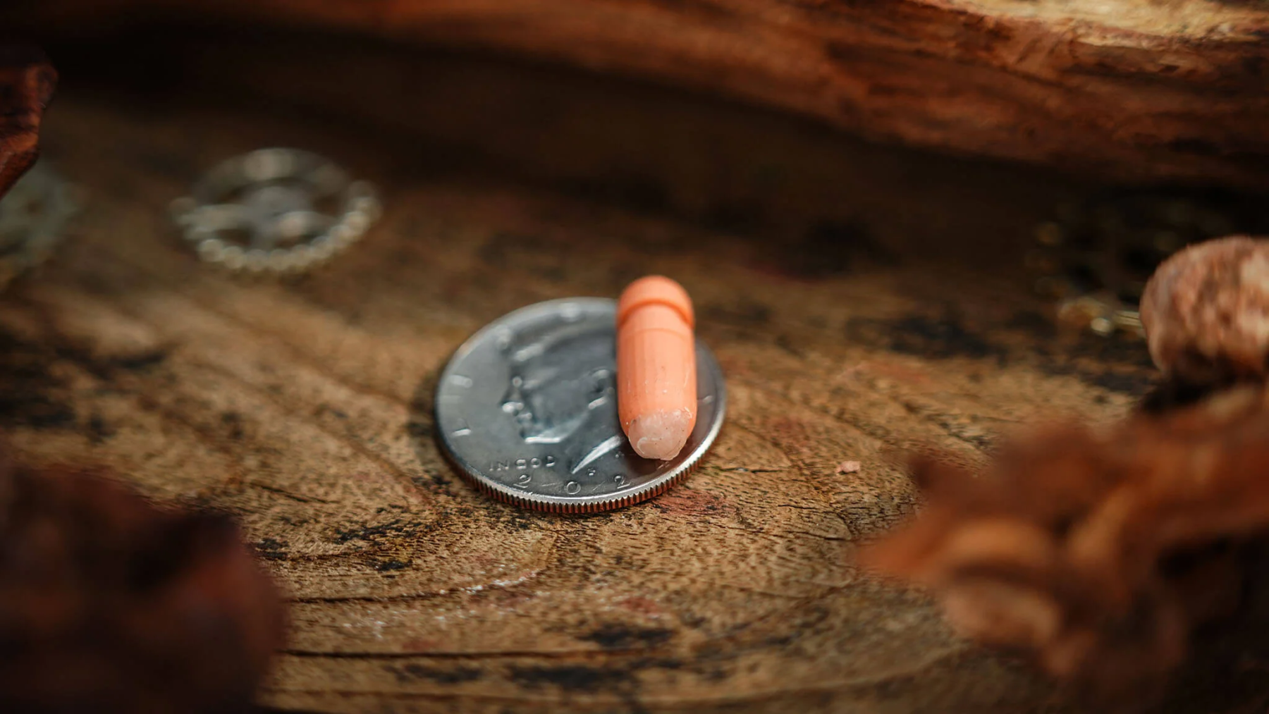 Capsule by Million & Egg & TCC Magic