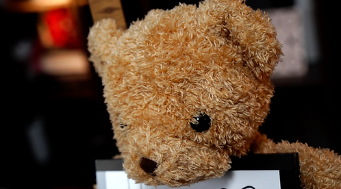 Teddy Unframed by MS Magic and JC Magic.