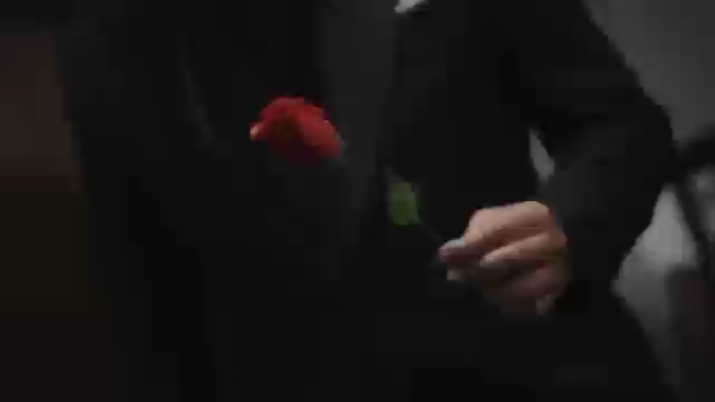 Eternal Rose by Bond Lee, Wenzi & Horace Ng