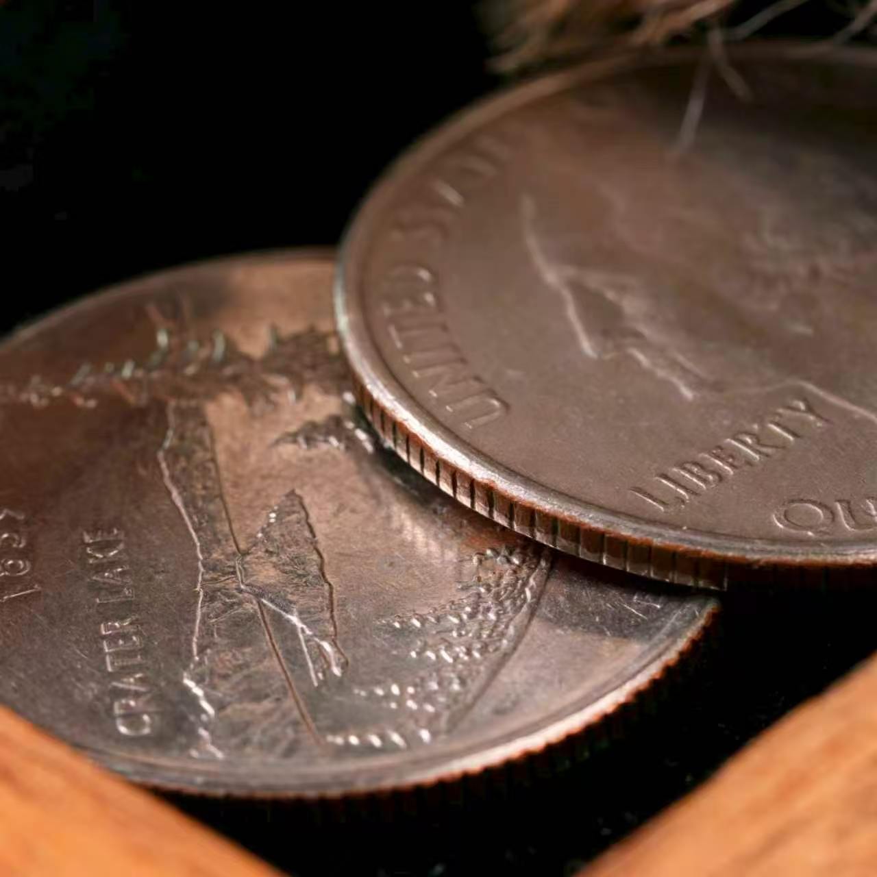 Expanded Quarter Dollar Shell by N2G