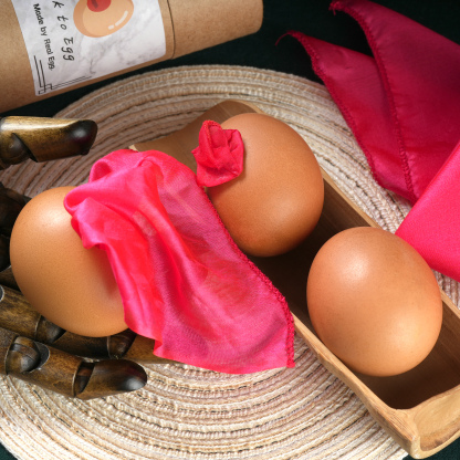 Silk to egg by Hyunsoo Kim & Hidden Magic