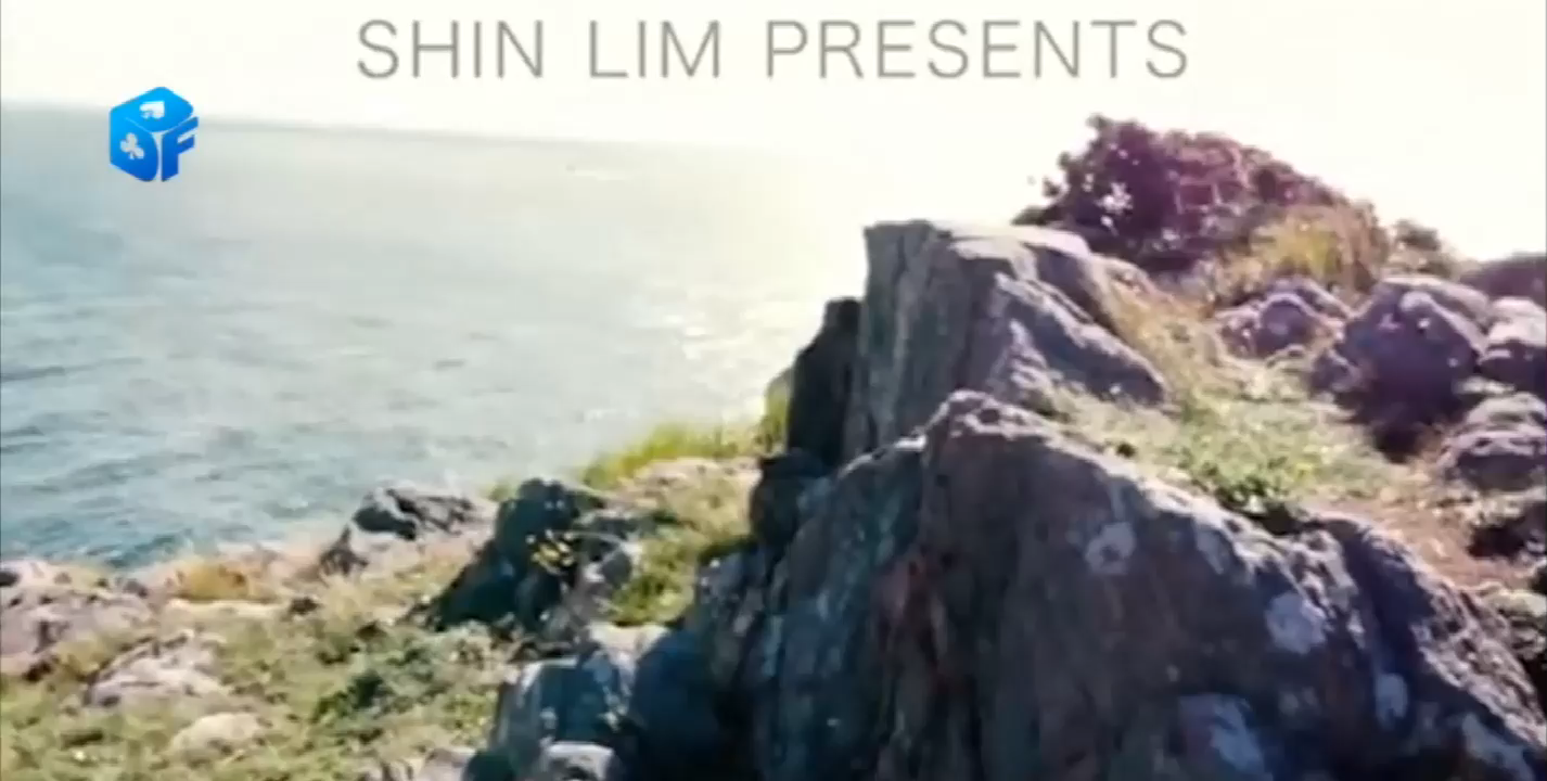 ShinLim Card Back Transformation by wangzhe