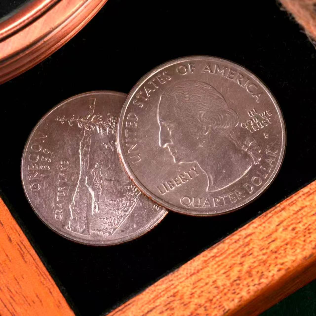 Expanded Quarter Dollar Shell by N2G