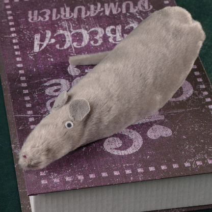 Simulated Mouse for Magic