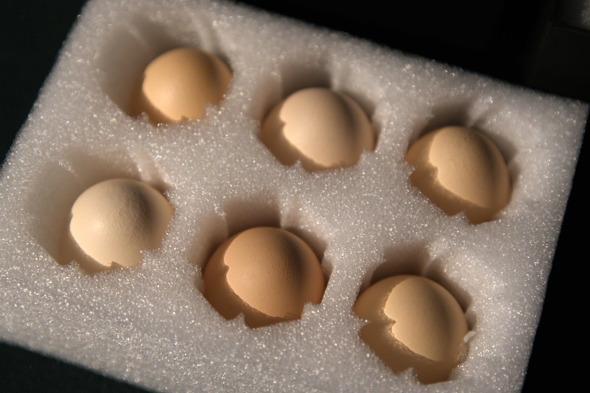 Bacon Eggshell by Bacon Magic