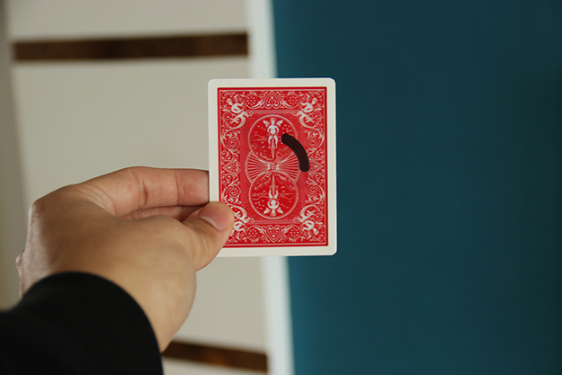 Spectral Circle by wangzhe