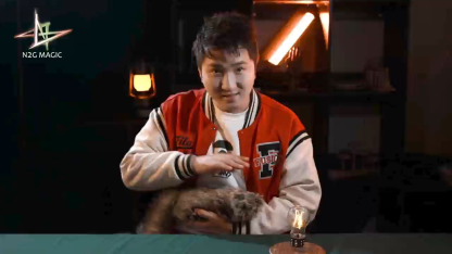 Racoon