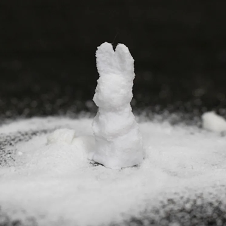 SUGAR BUNNY by Steve Fearson -N2G Presents