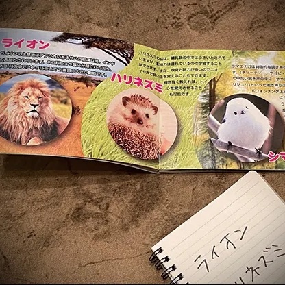 Mentalist's Animal Photo book 2024 by Tenyo Magic -N2G Presents