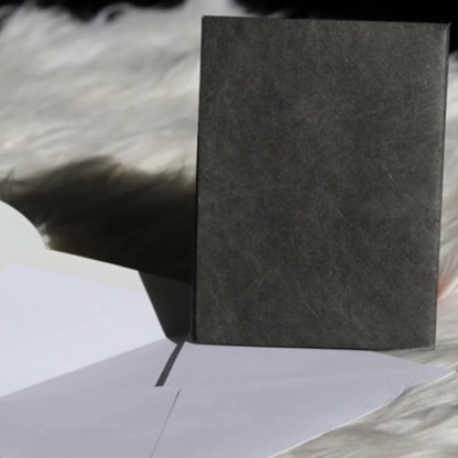 Number 4 Envelope (Gimmicks and Online Instructions) by Blake Vogt 