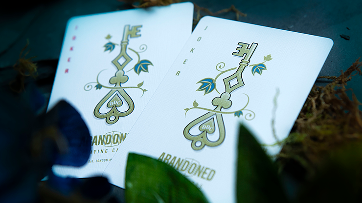 Abandoned Playing Cards by Dynamo