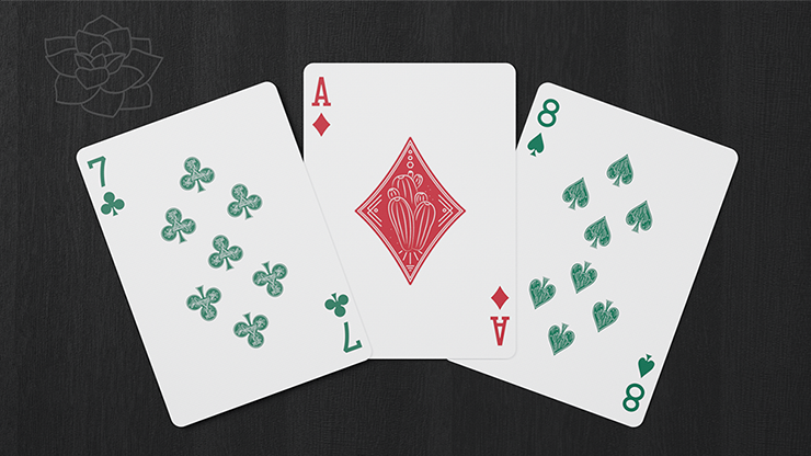 Succulents Playing Cards 