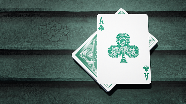 Succulents Playing Cards 