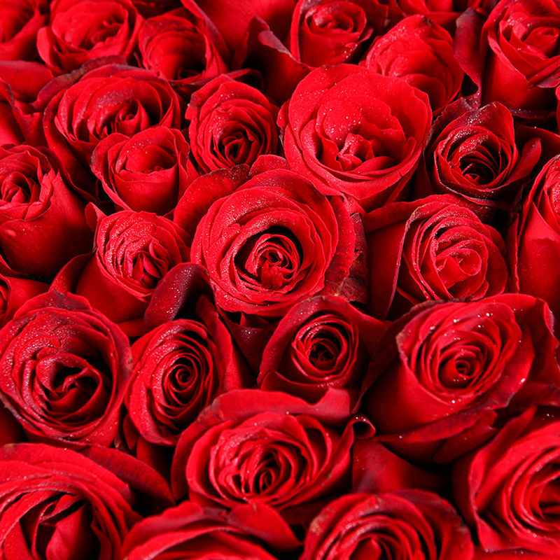 999 COROLLA RED ROSES