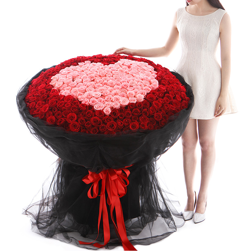 520 red roses