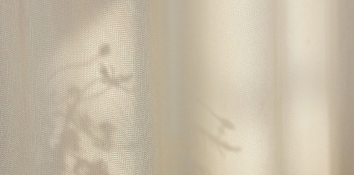 Summer Collection – KUOSE.com