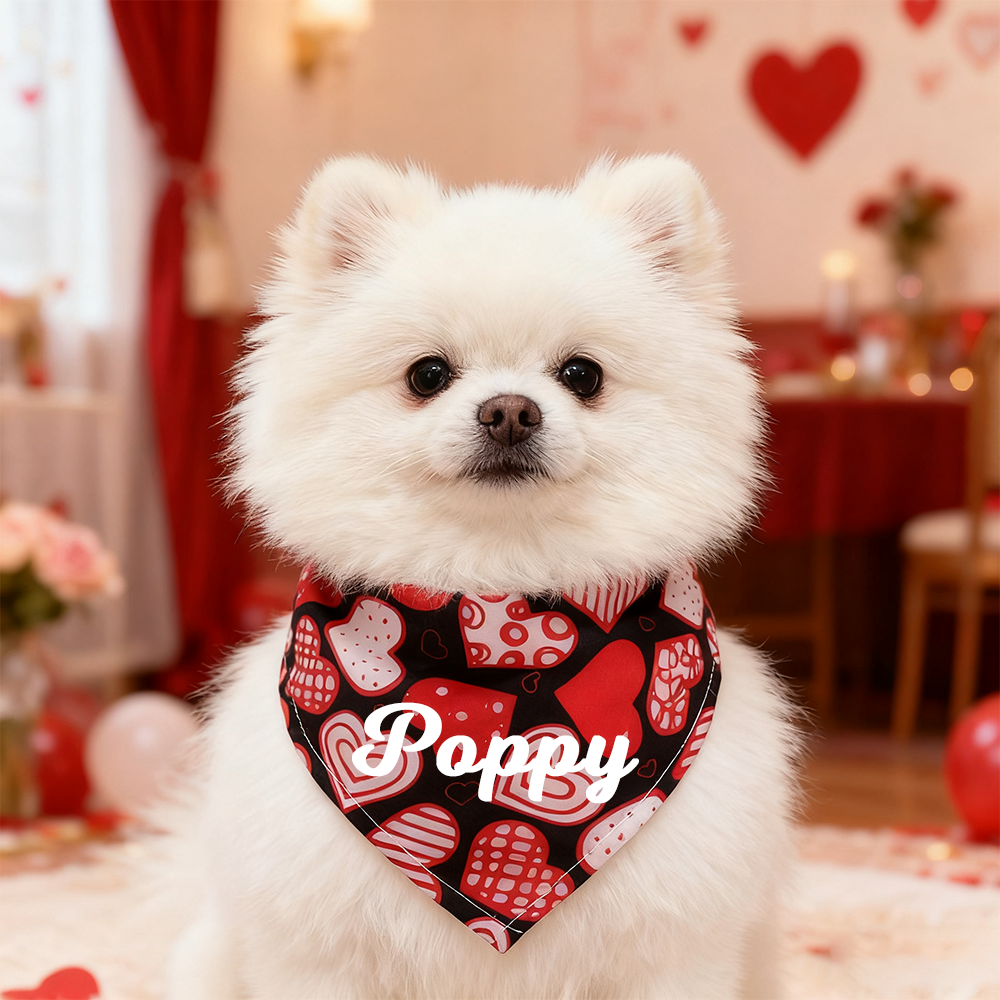 Personalized Romantic Valentine's Day Pet Bandana | KKPet388