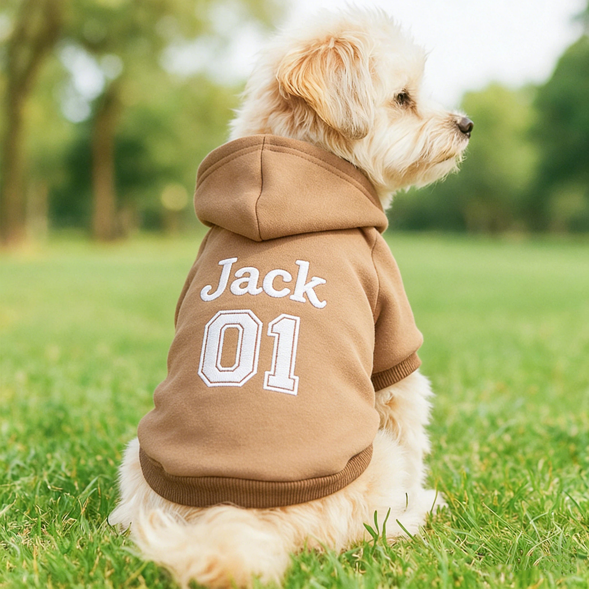 Personalized Embroidered Name Pet Birthday Hoodie | inCloth22