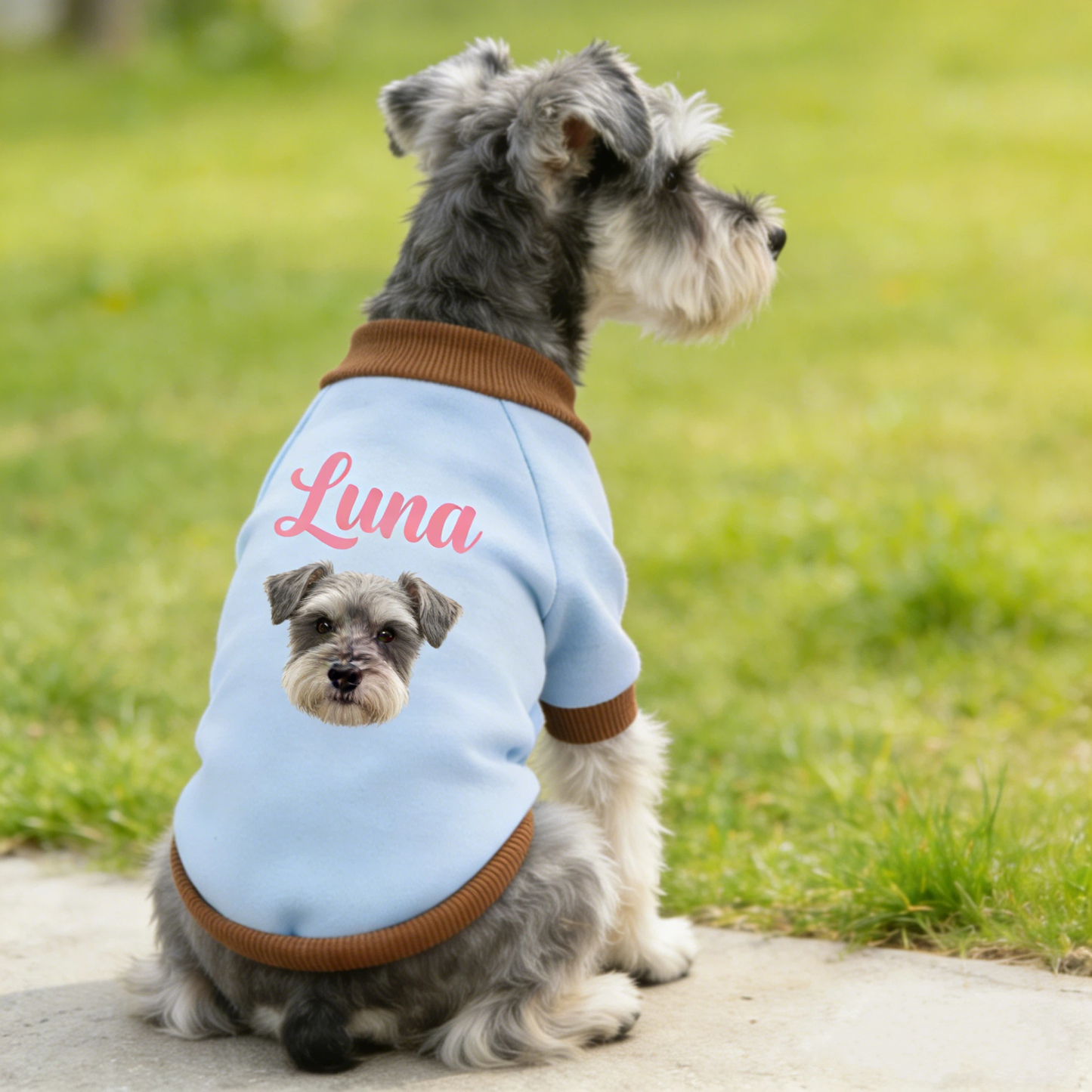 Personalized Name Pet Sweatshirt With Photo | inCloth26