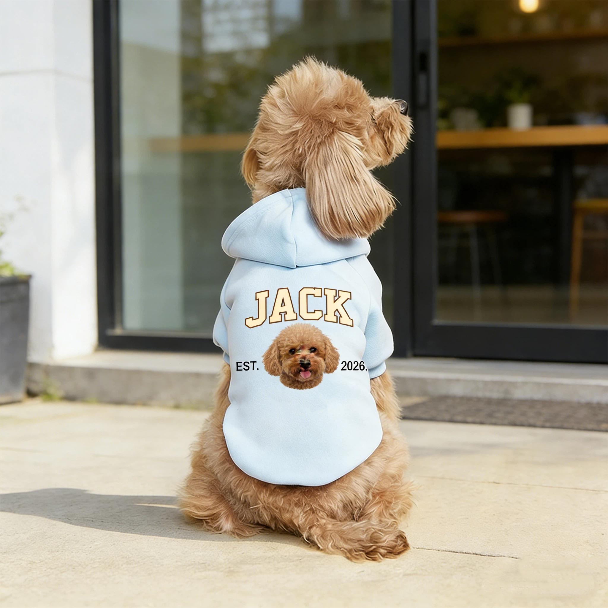 Personalized Funny Face Photo Soft Pet Hoodie | inCloth44