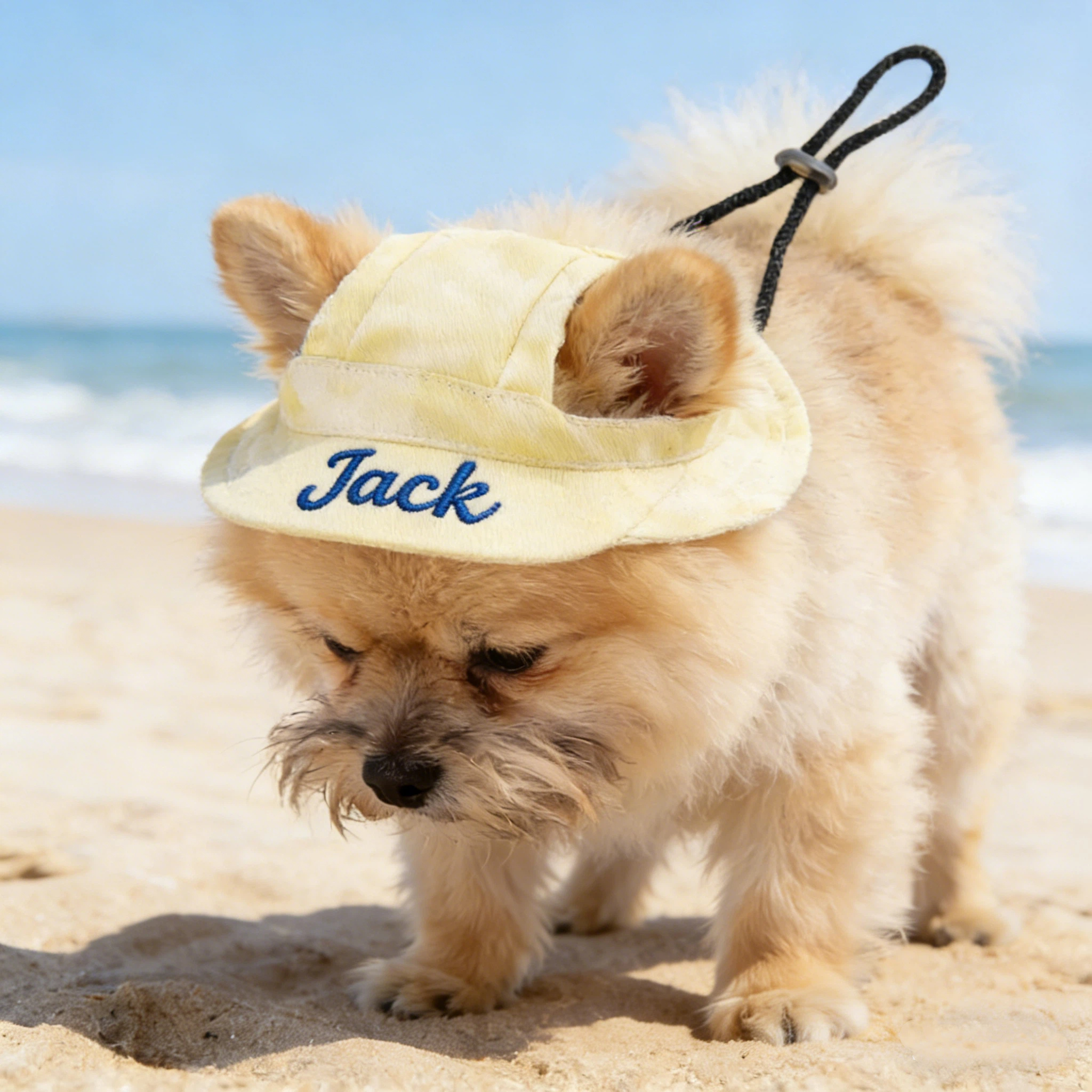Personalized Embroidered Name Pet Bucket Hat | inHat40