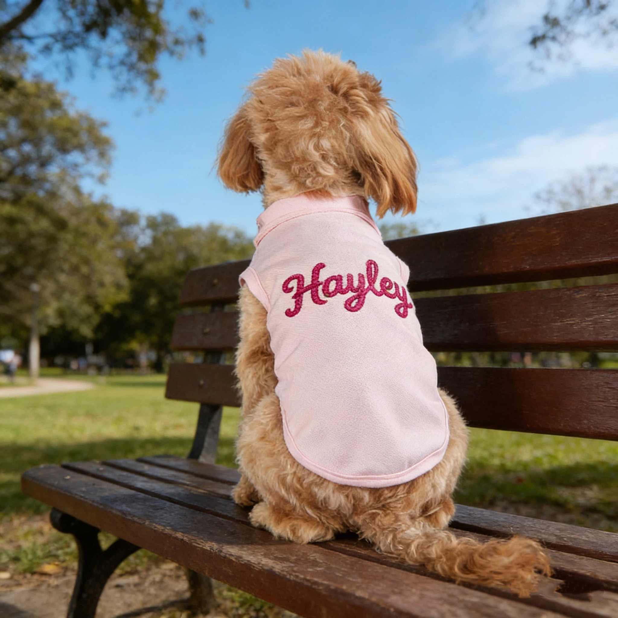 Personalized Embroidered Name Summer Sleeveless Dog Polo Shirt | inCloth78