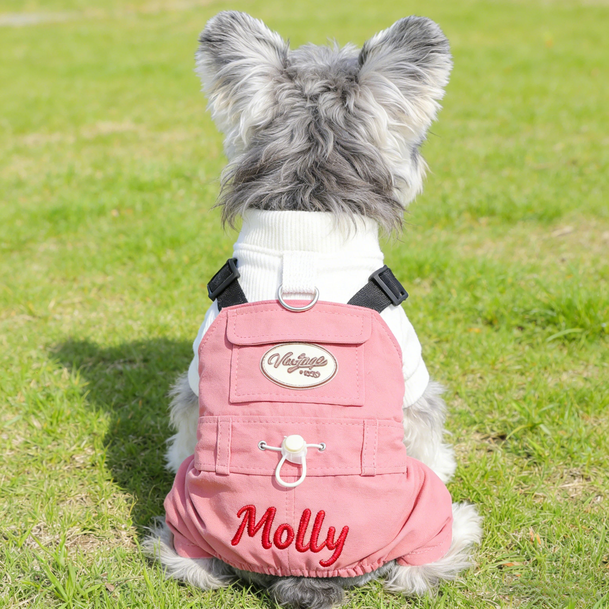 Personalized Embroidered Name Pet Jumpsuit | inCloth21