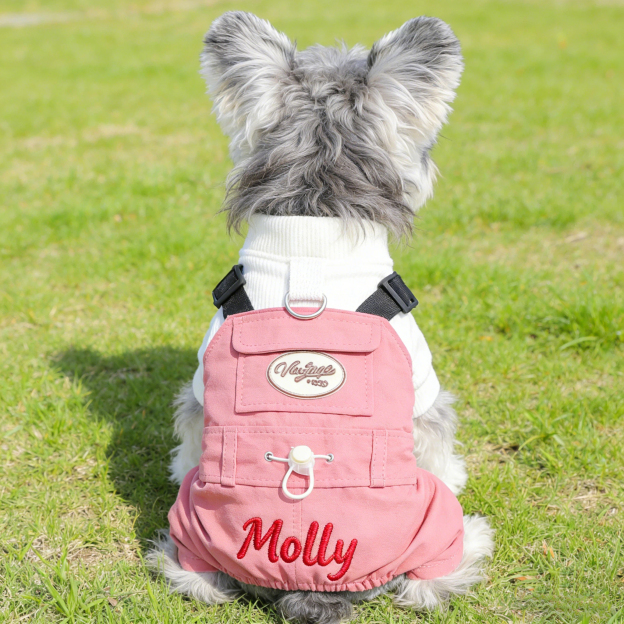 Personalized Embroidered Name Pet Jumpsuit | inCloth21