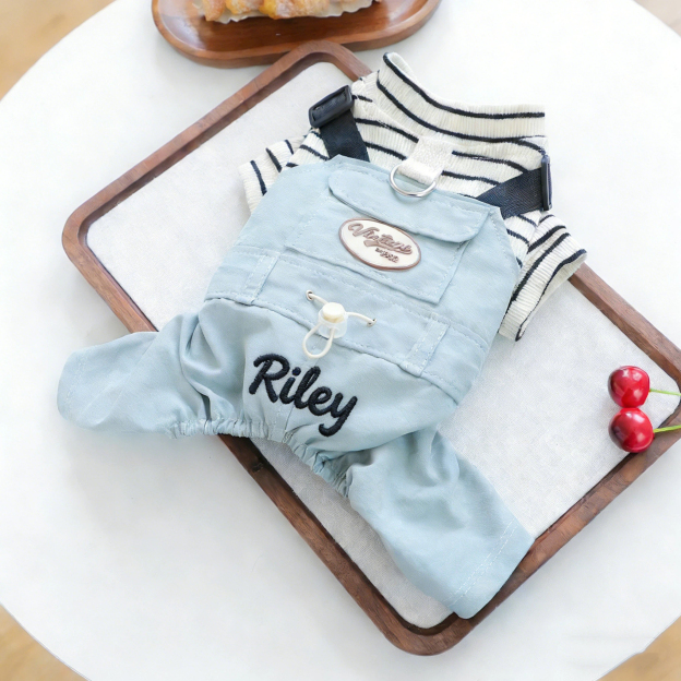 Personalized Embroidered Name Pet Jumpsuit | inCloth21