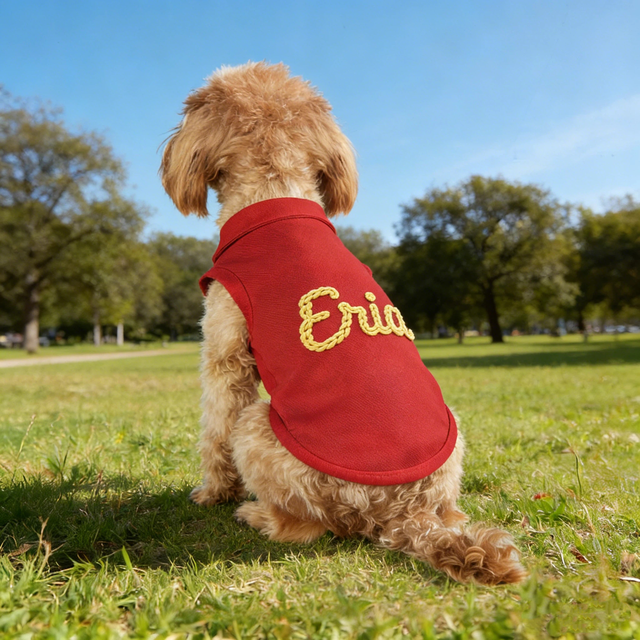 Personalized Embroidered Name Summer Sleeveless Dog Polo Shirt | inCloth78
