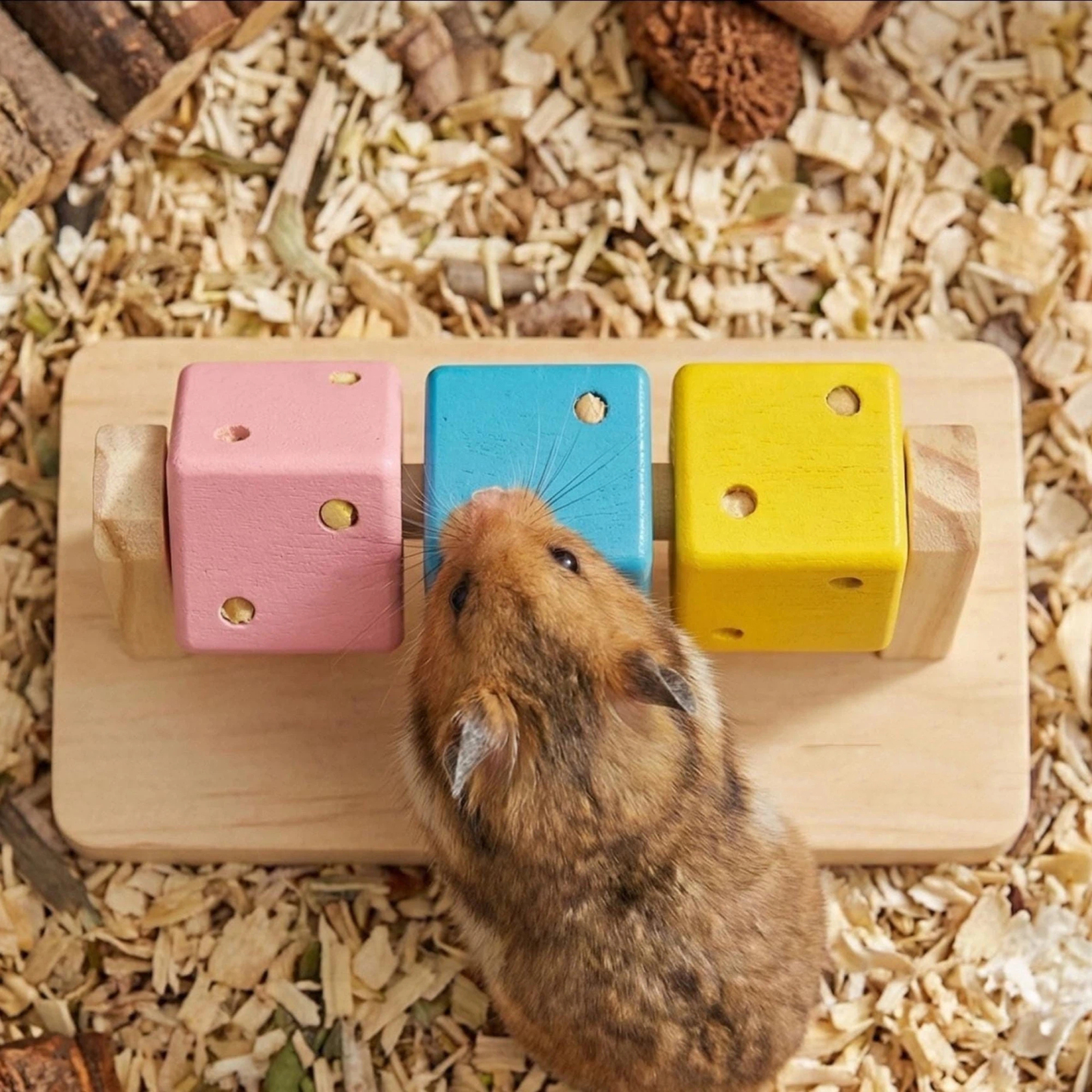 Personalized Hamster Wooden Puzzle Toy | inToy04