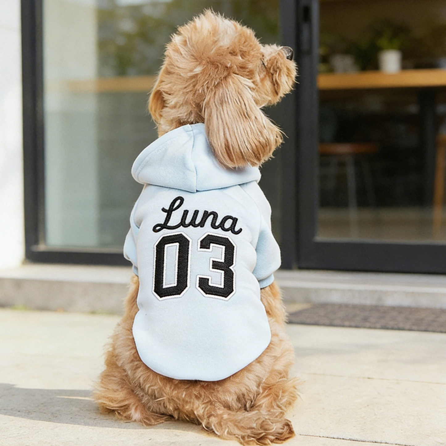 Personalized Embroidered Name Pet Birthday Hoodie | inCloth22