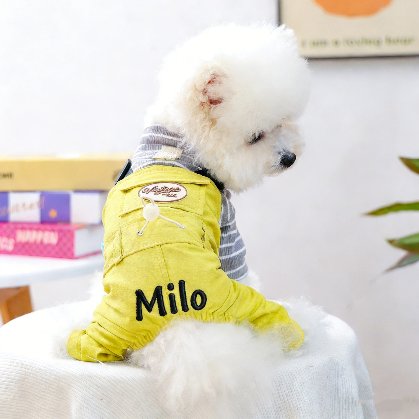 Personalized Embroidered Name Pet Jumpsuit | inCloth21