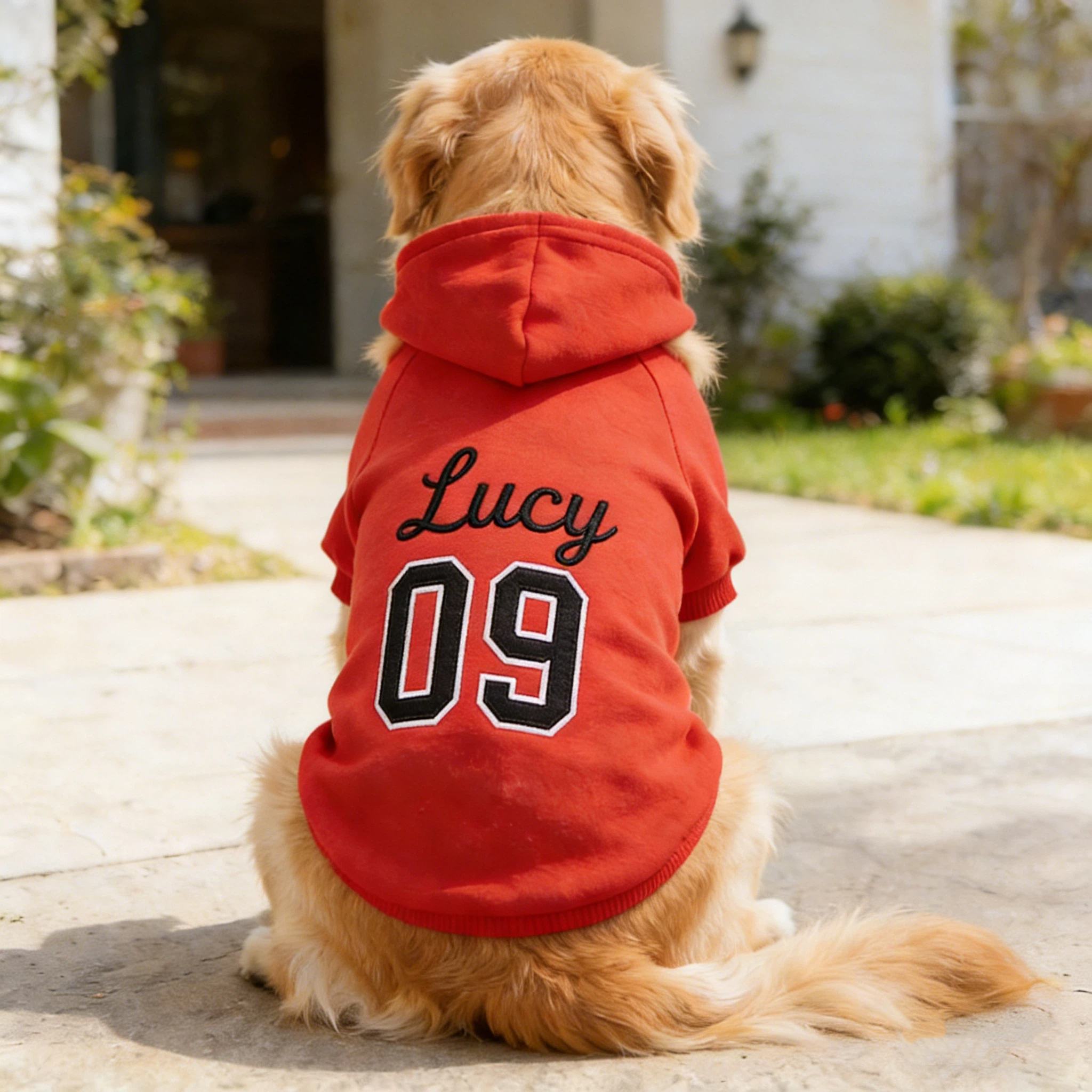 Personalized Embroidered Name Pet Birthday Hoodie | inCloth22
