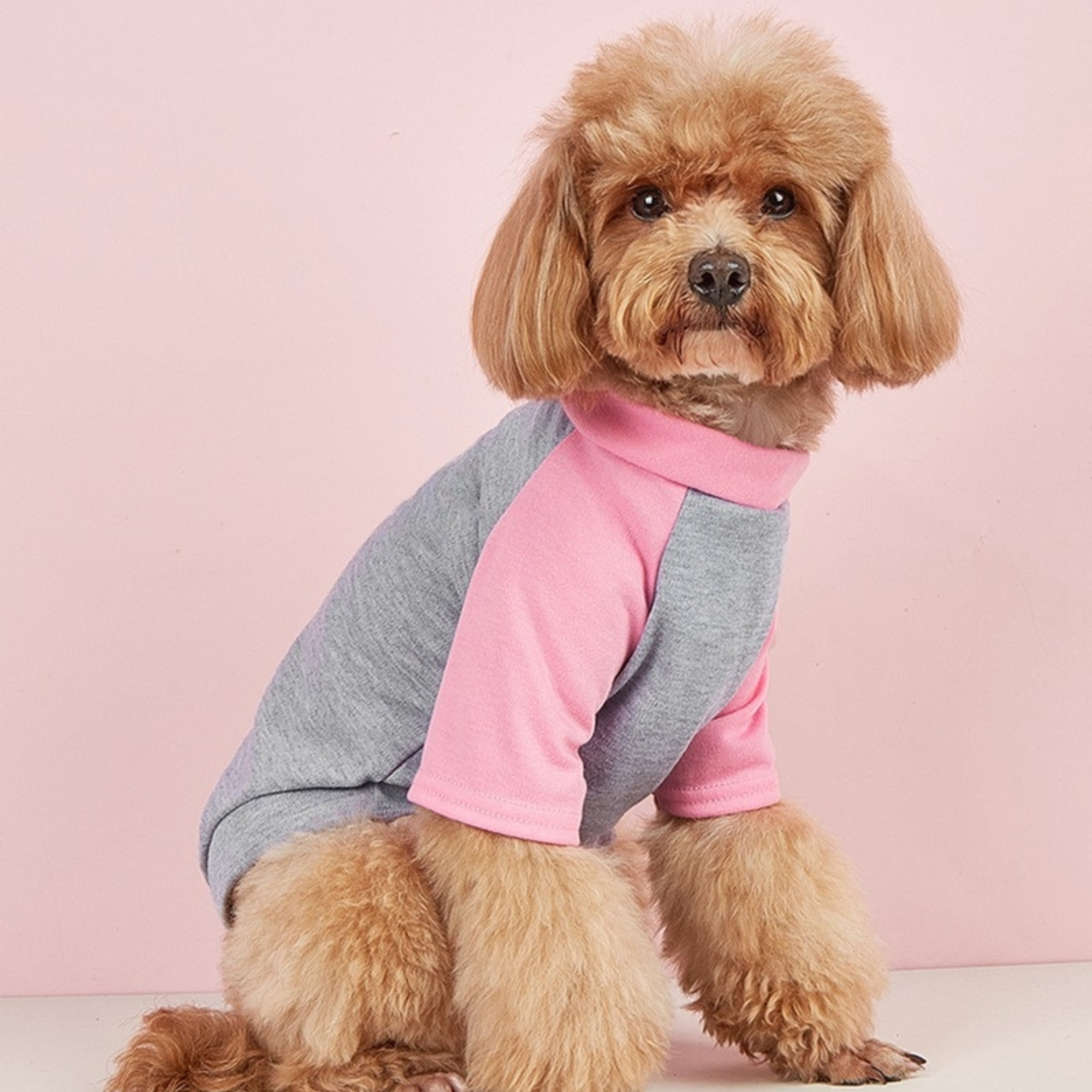 Personalized Mother's Day Color-Block Pet T-shirt  | inCloth42