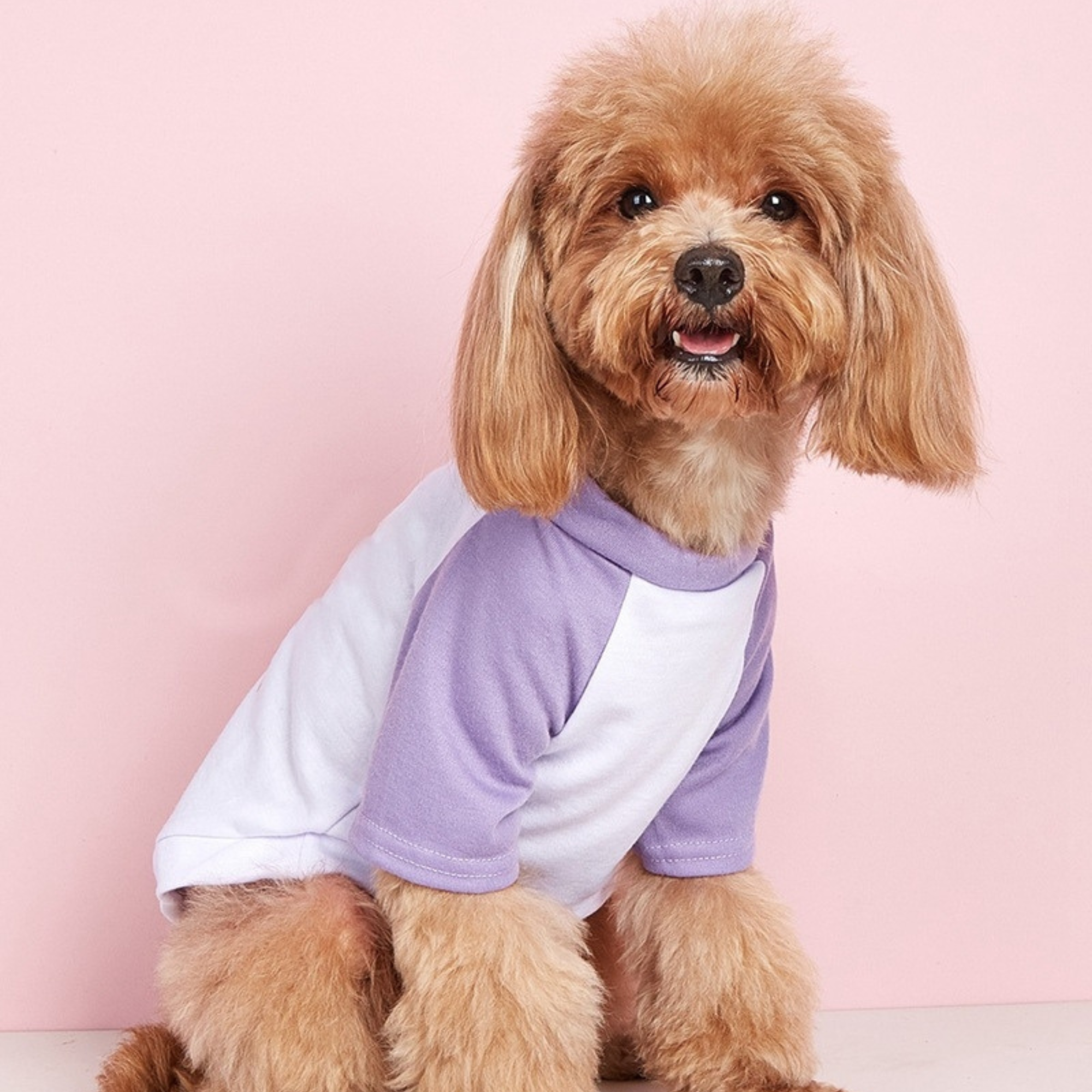 Personalized Mother's Day Color-Block Pet T-shirt  | inCloth42