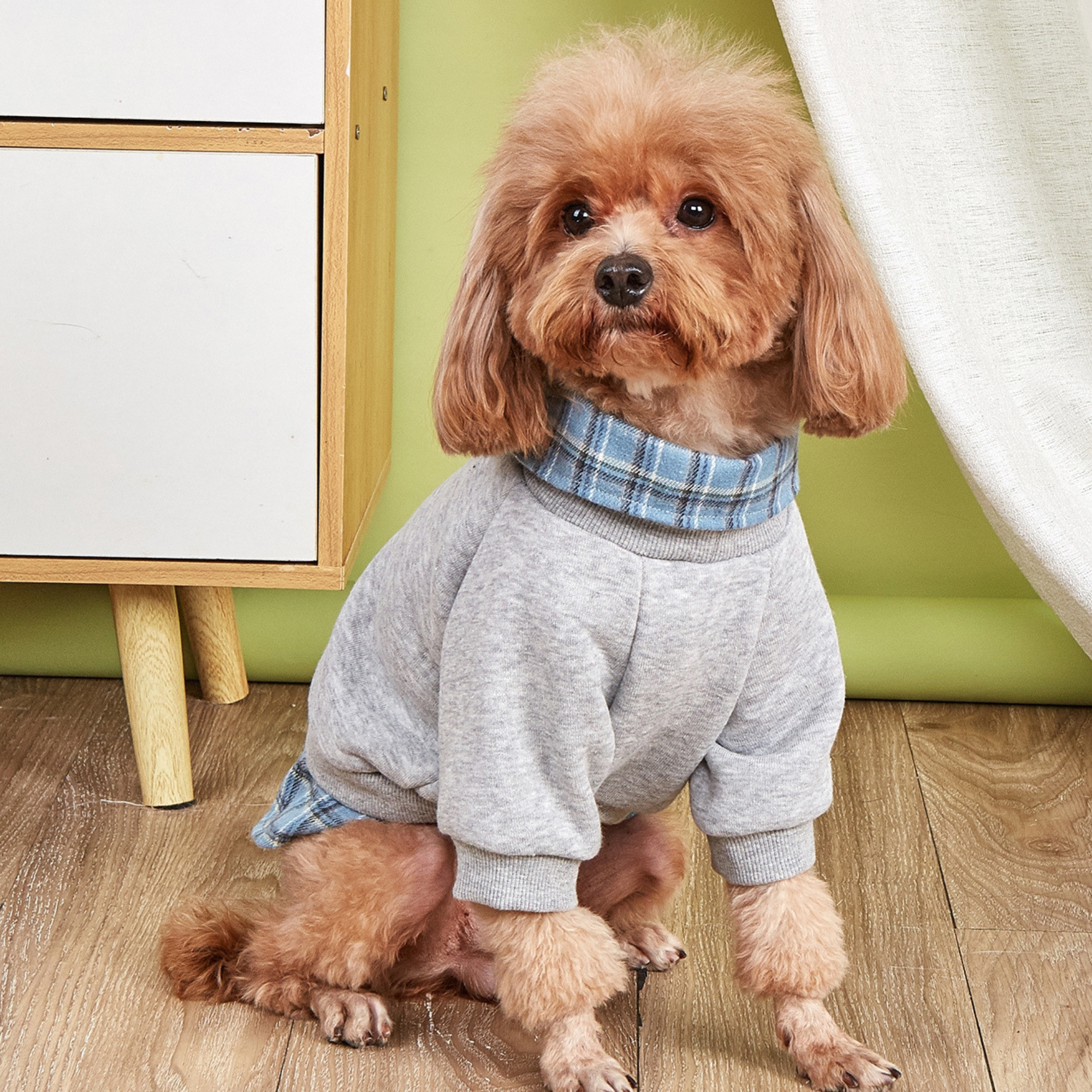 Personalized Name Plaid Pet Sweatshirt | inCloth30