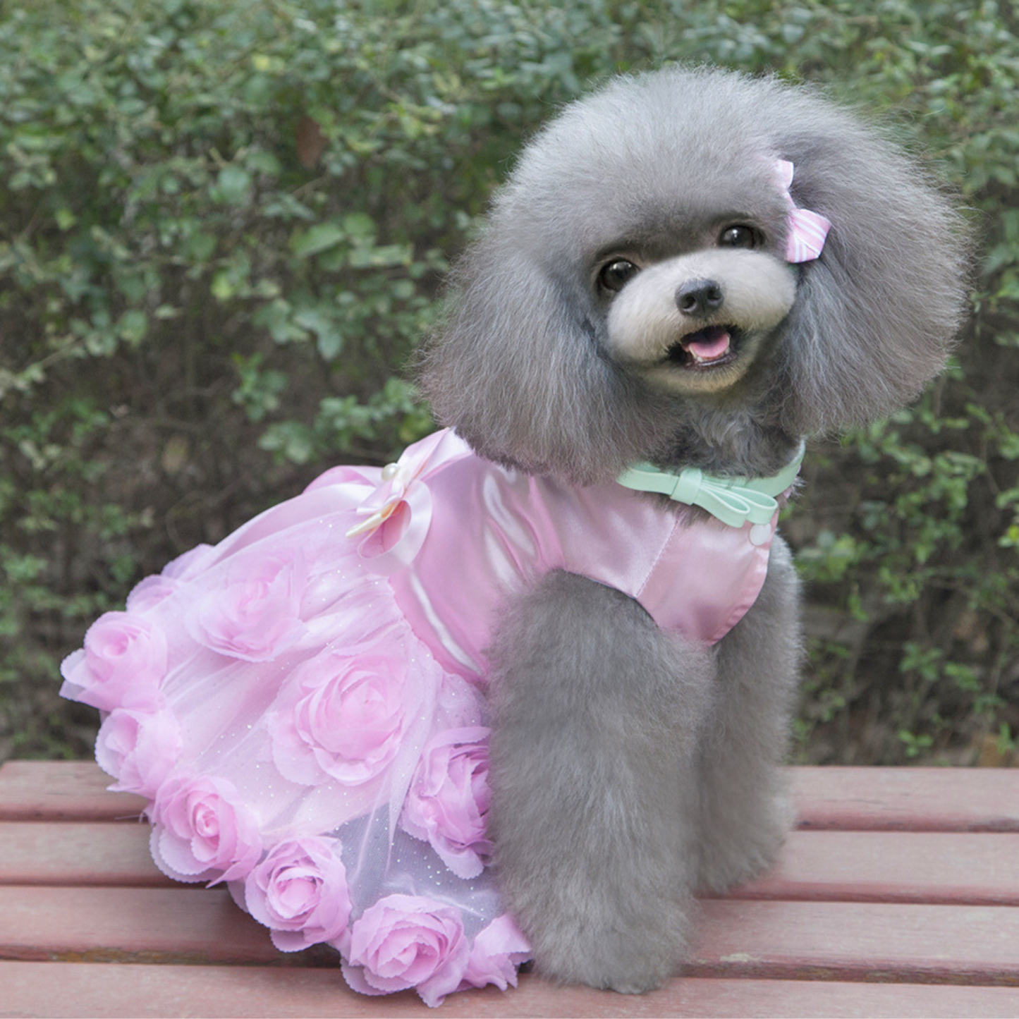 Personalized Name Pet Satin Princess Dress | inCloth50