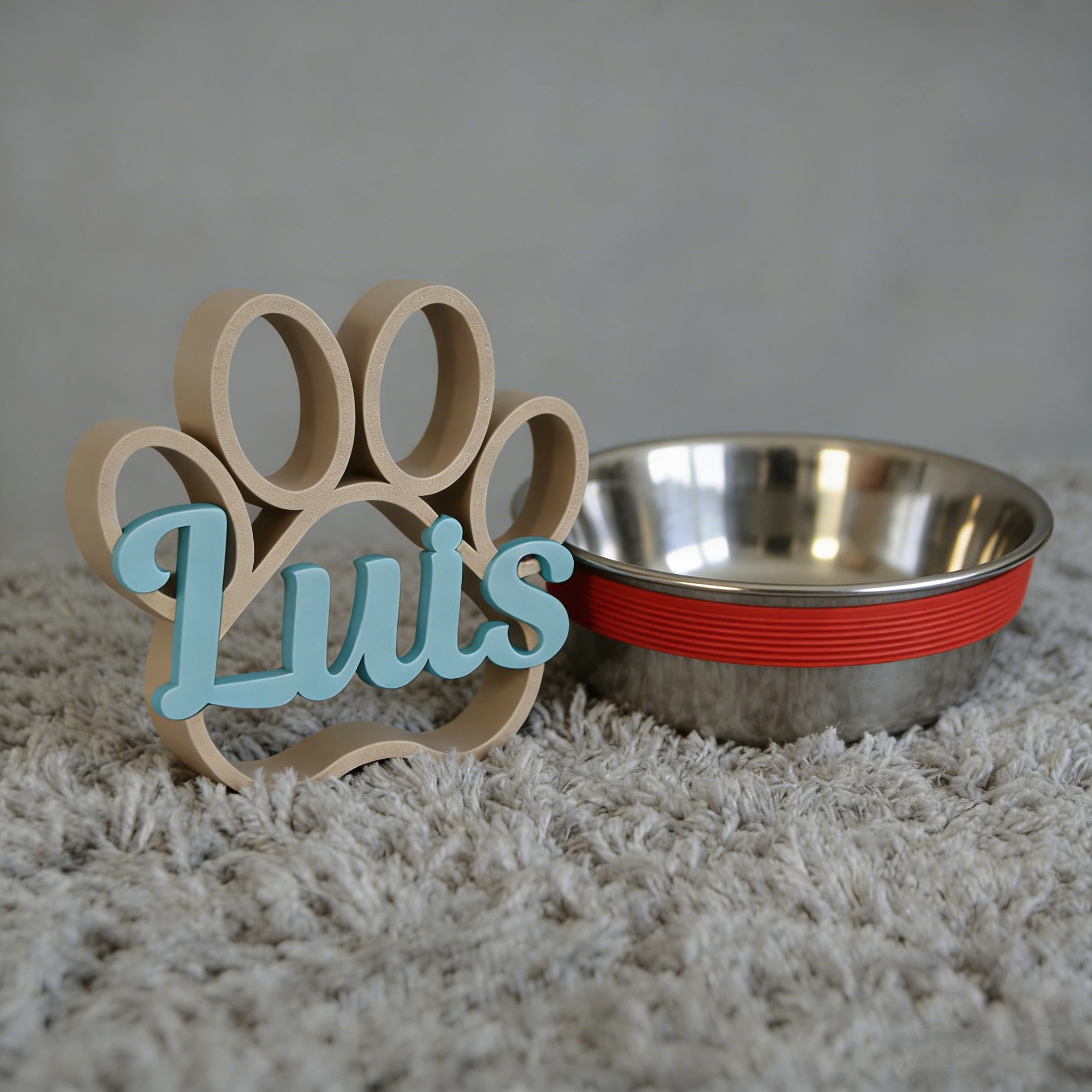 Personalized 3D Print Dog Paw With Name Ornament | inAccs29