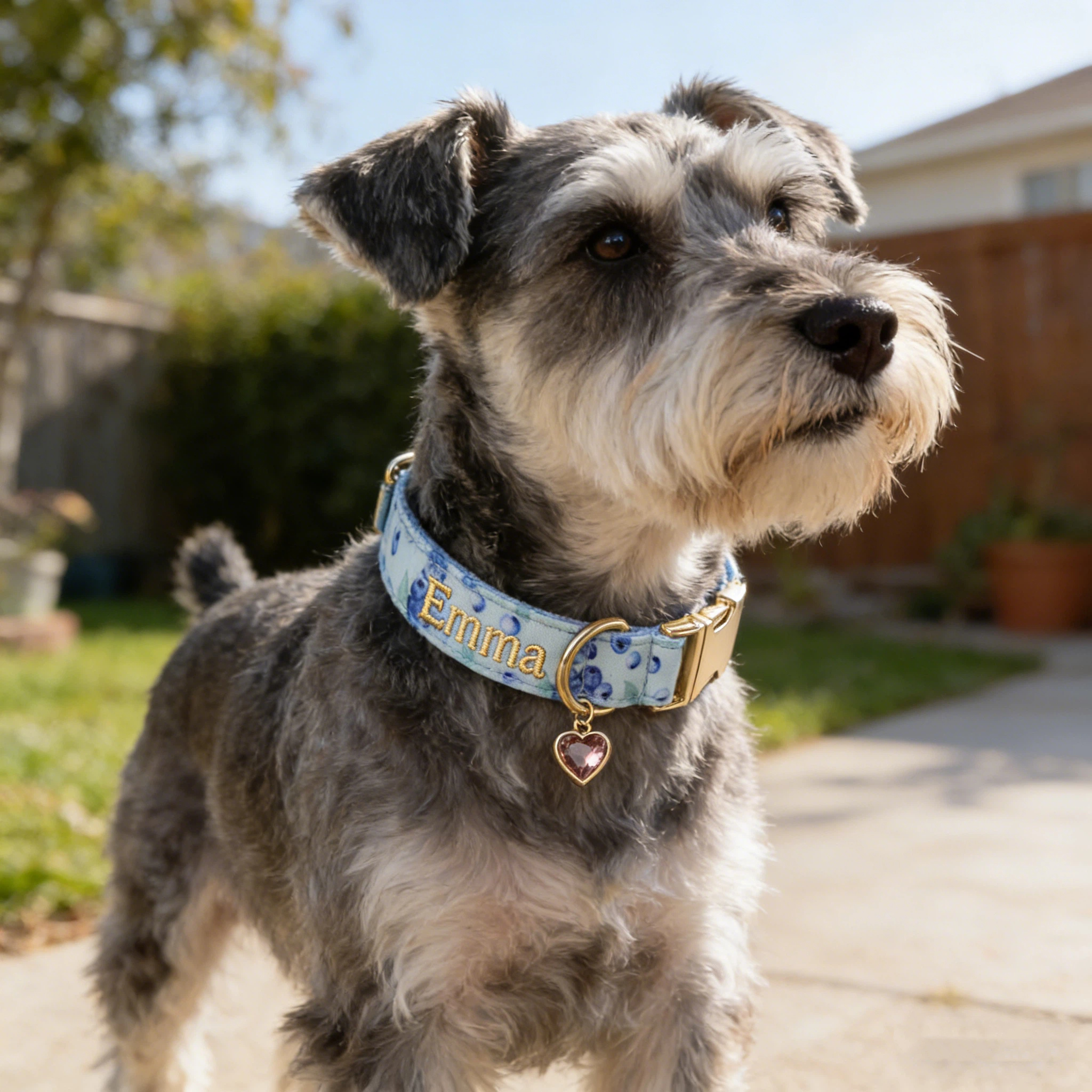 Personalized Embroidered Name Pet Collar with Birthstone Charm | inAccs37