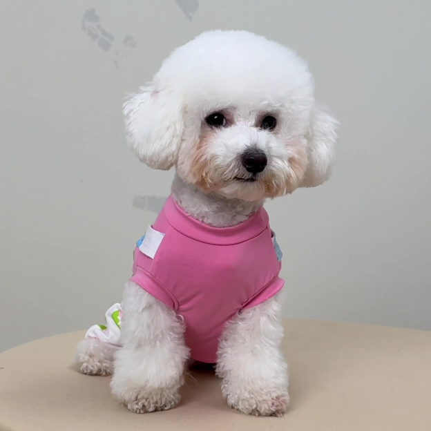 Personalized Pet Easter Outfit | inCloth17