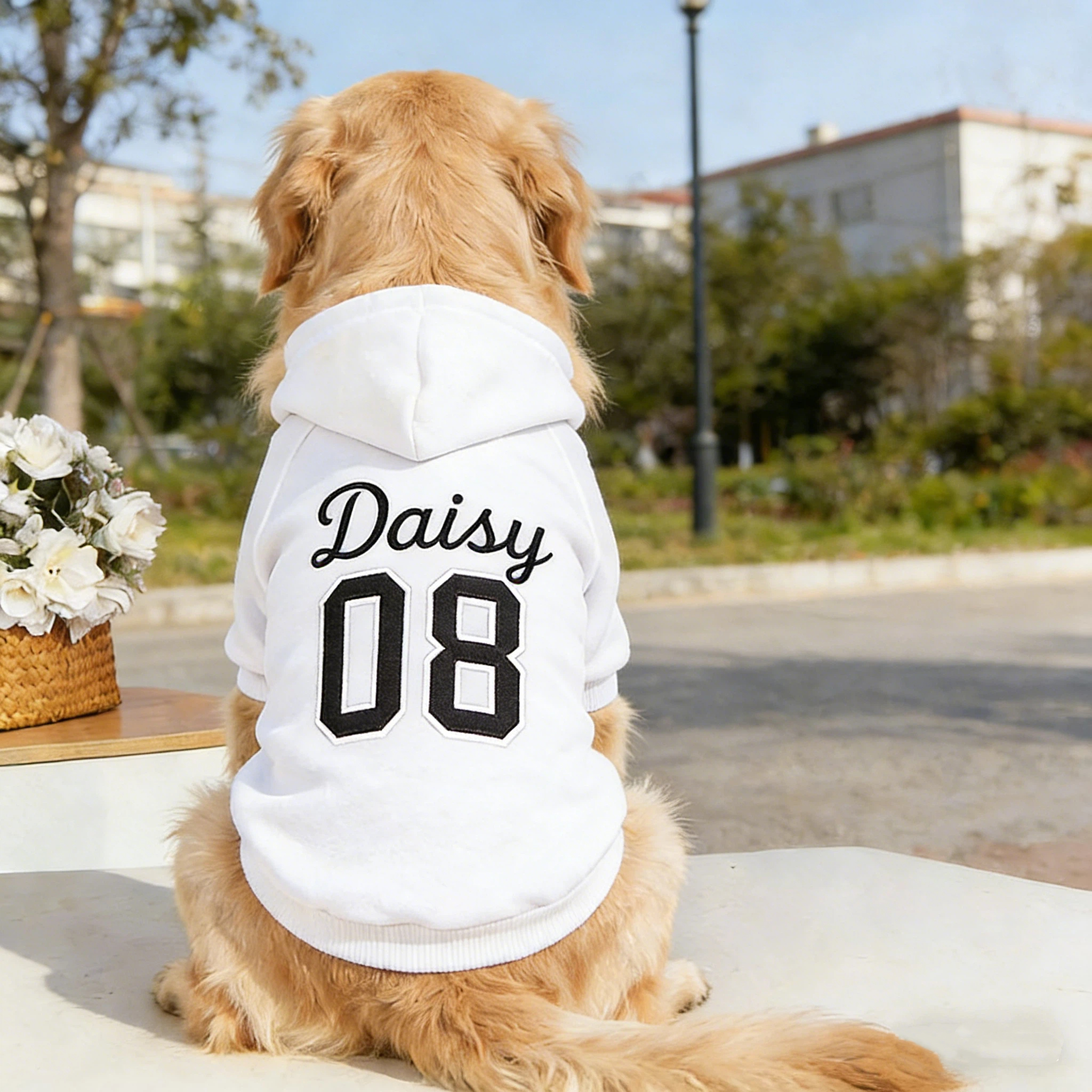 Personalized Embroidered Name Pet Birthday Hoodie | inCloth22