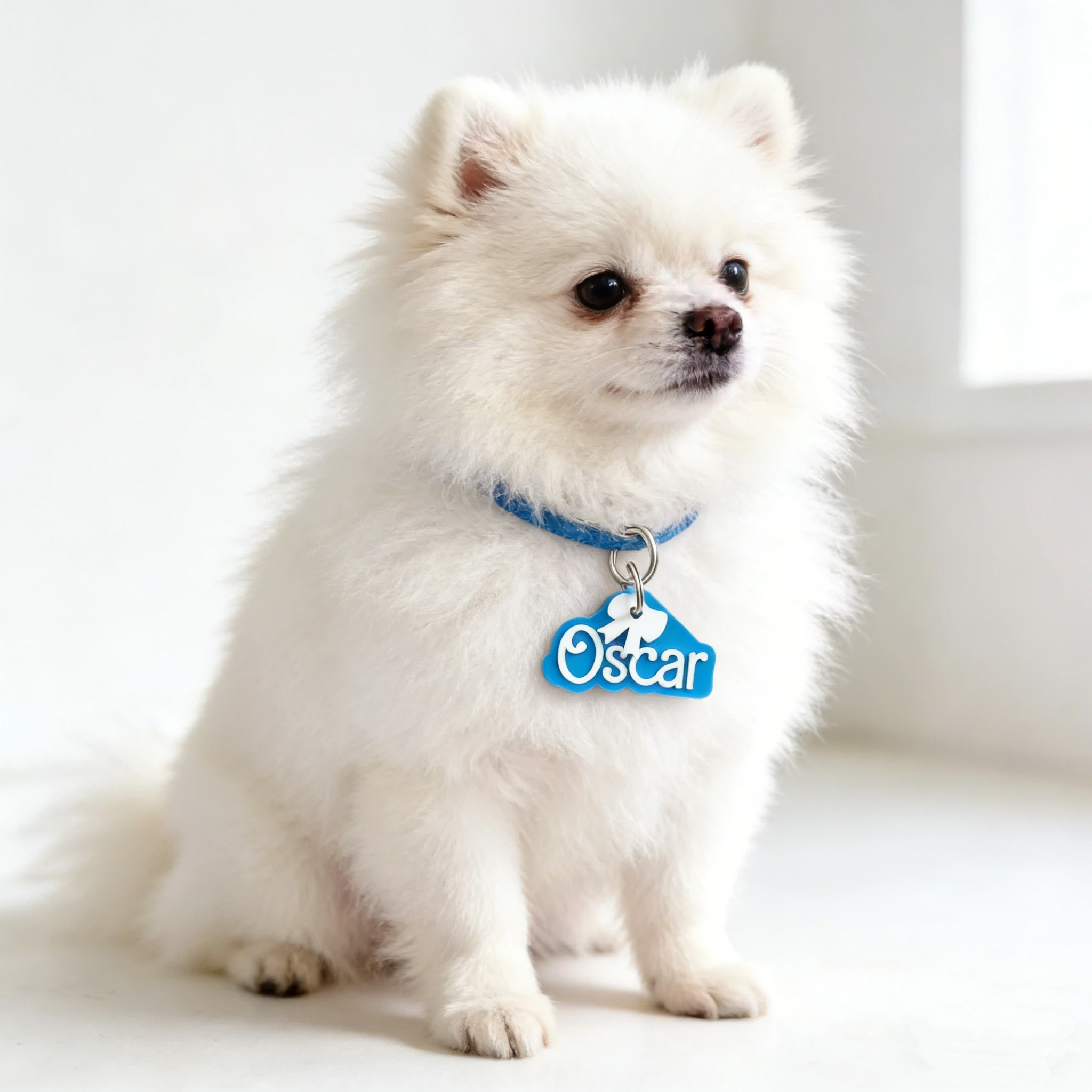 Personalized Name 3D Printed Pet ID Tag | KKPet458