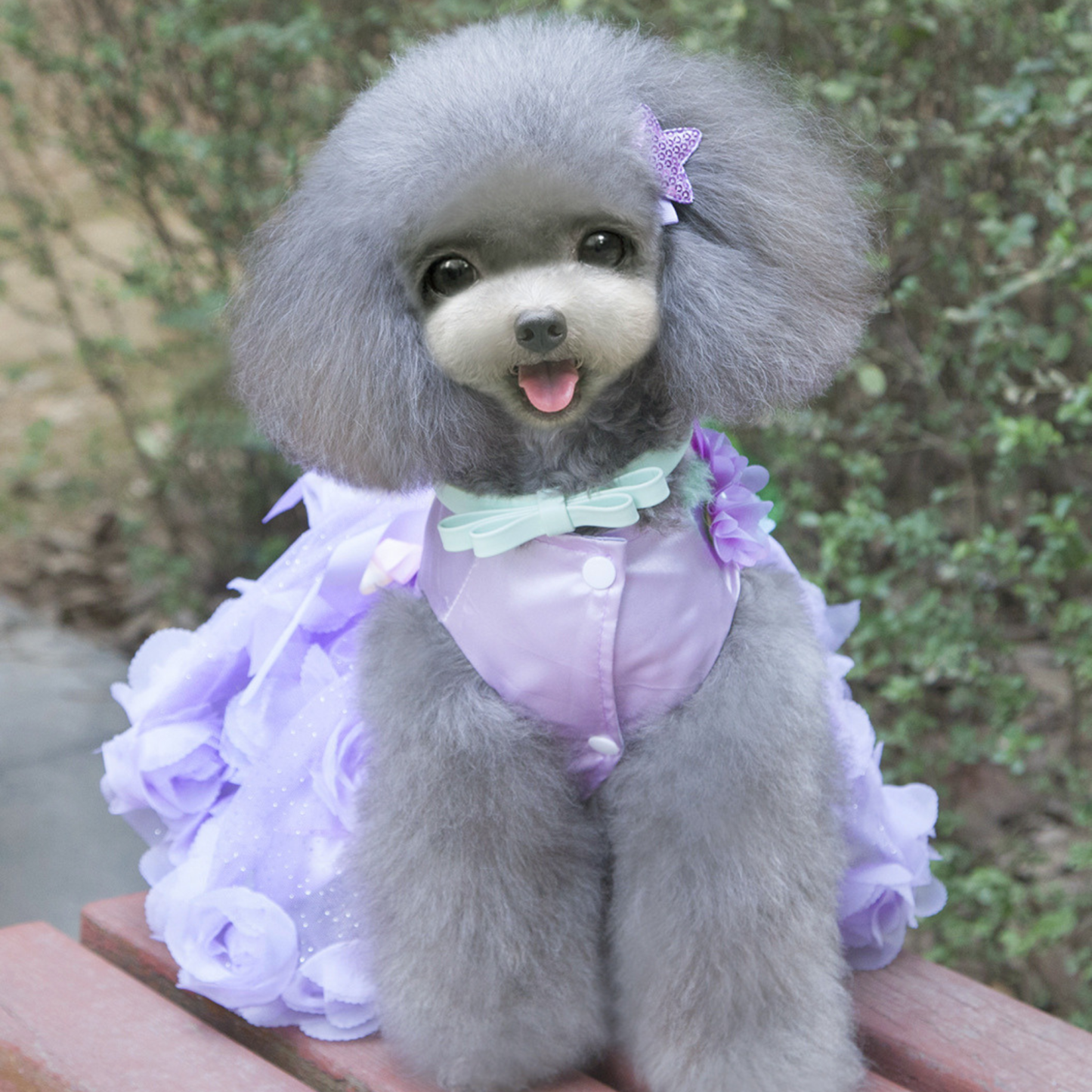 Personalized Name Pet Satin Princess Dress | inCloth50