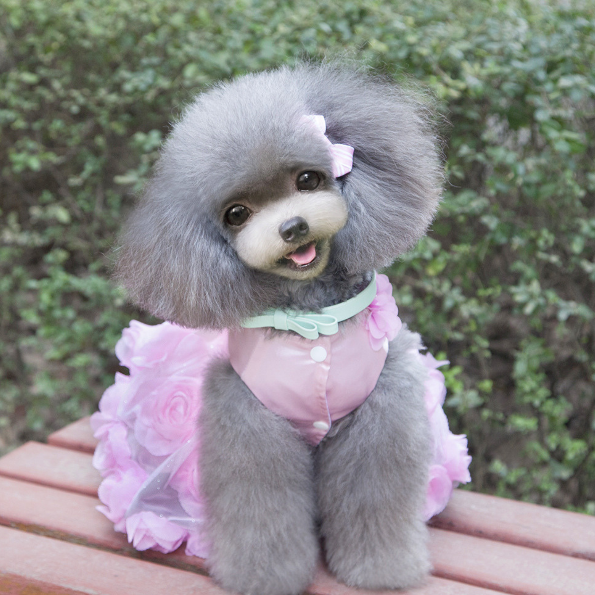 Personalized Name Pet Satin Princess Dress | inCloth50