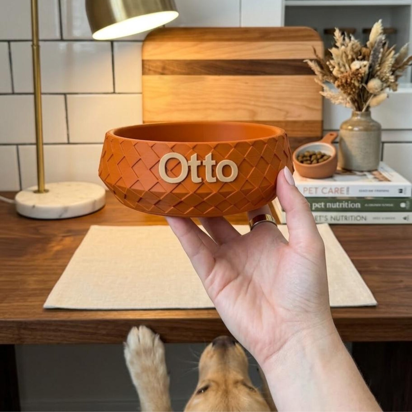 Personalized Name 3D Printed Pet Bowl | inAccs35