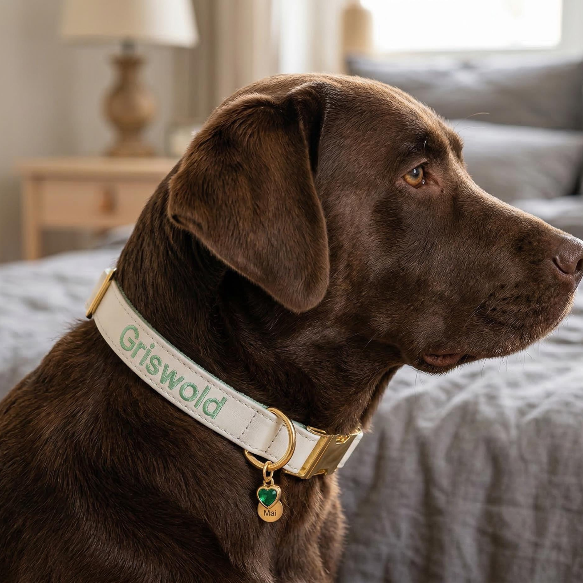 Personalized Embroidered Name Leather Pet Collar | inAccs34