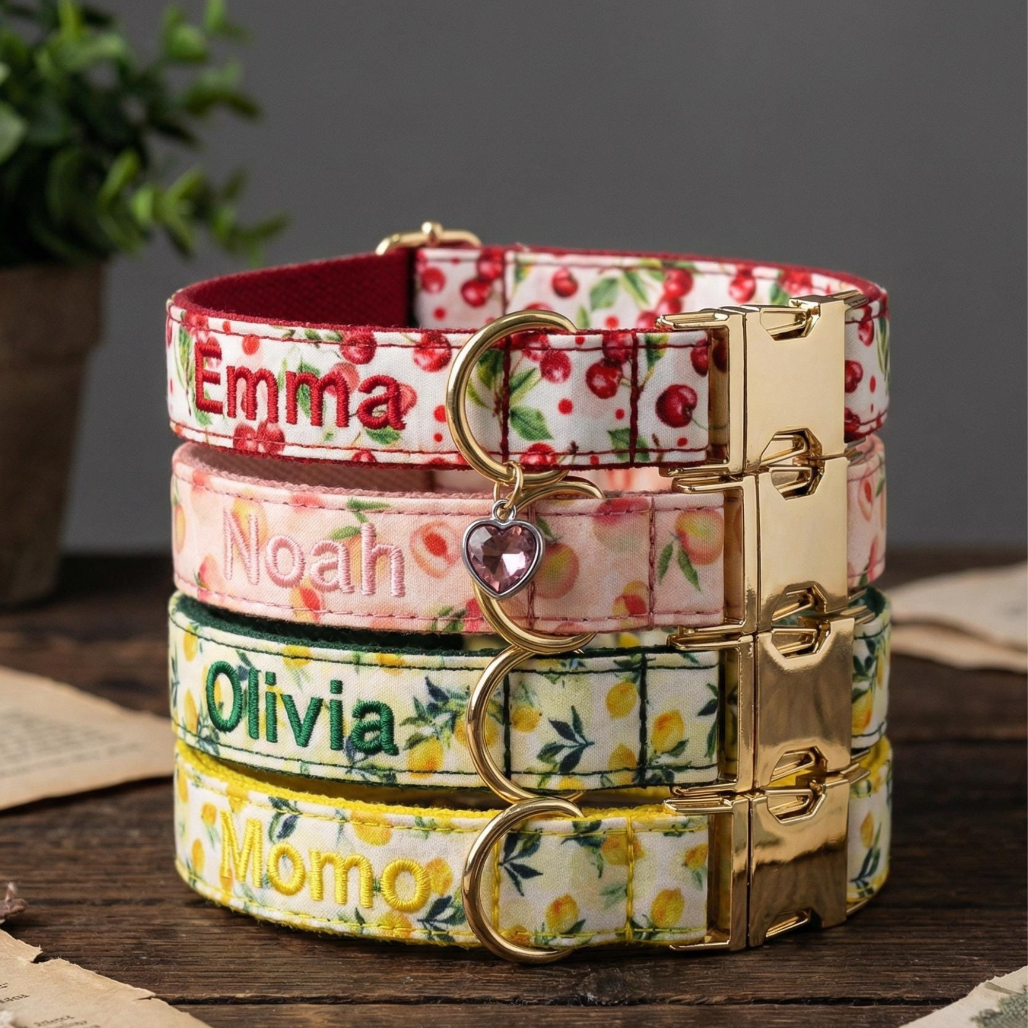Personalized Embroidered Name Pet Collar with Birthstone Charm | inAccs37