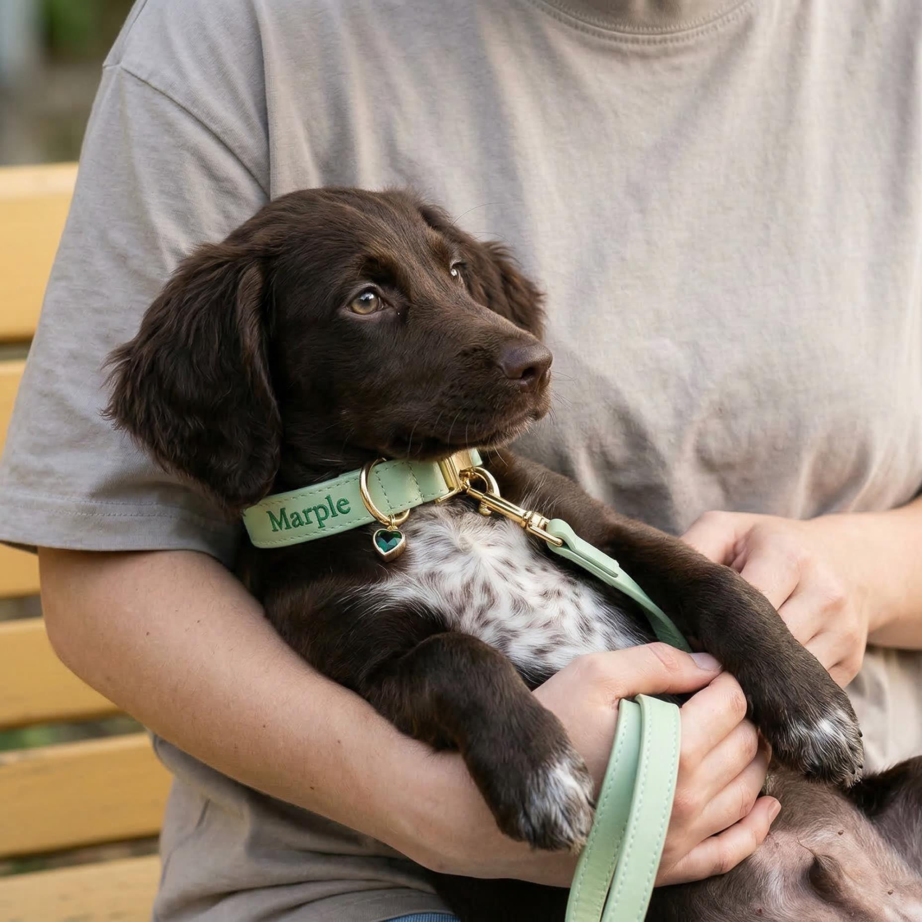 Personalized Embroidered Name Leather Pet Collar | inAccs34